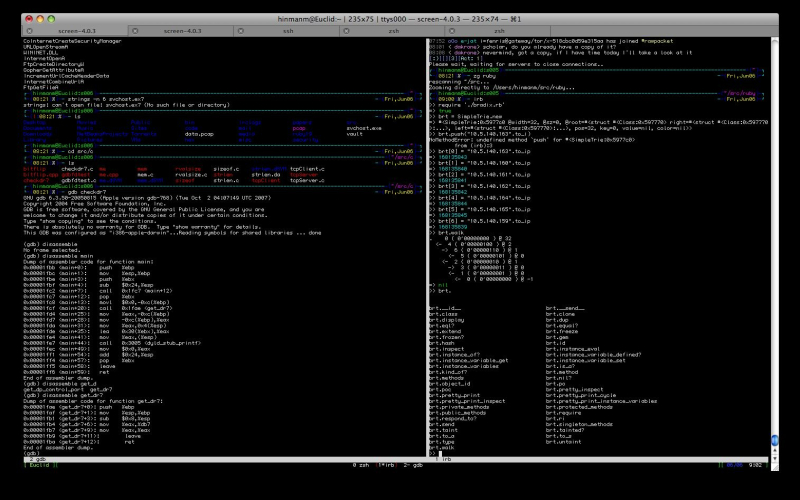 Una Guida al Terminale Di Mac OS Apple Silicon ARM